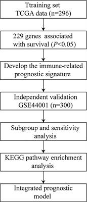 Frontiers | Development And Validation Of A Prognostic Signature Based ...